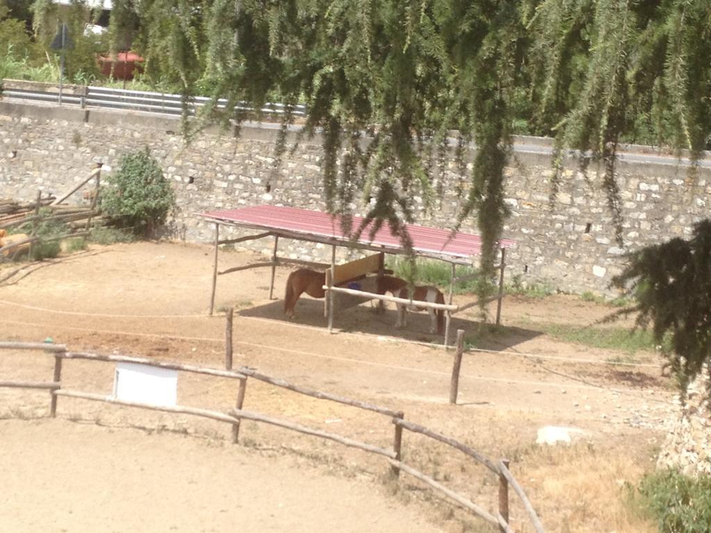 Il Piccolo Ranch Hotel Cervo Zewnętrze zdjęcie